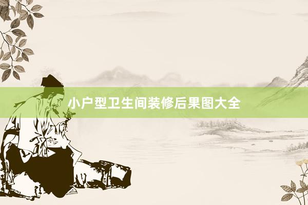 小户型卫生间装修后果图大全