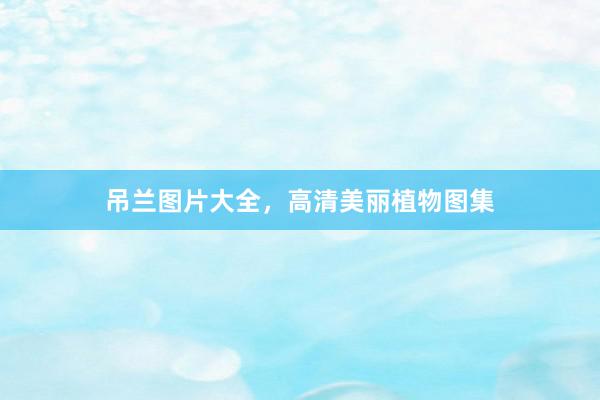 吊兰图片大全，高清美丽植物图集
